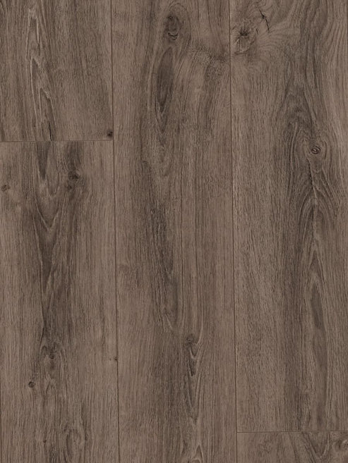 Grey Dark Oak